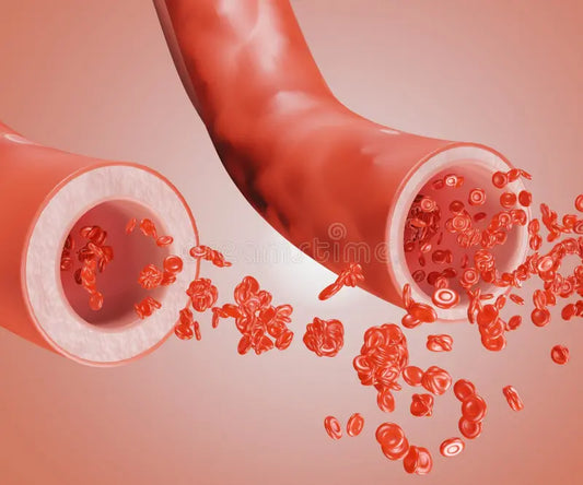 Nitric Oxide: The Secret to More Energy, Better Circulation, and Peak Performance